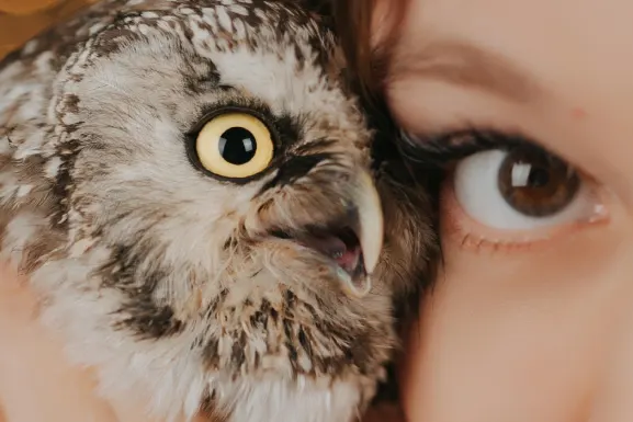 Lottomart Casino Soporte